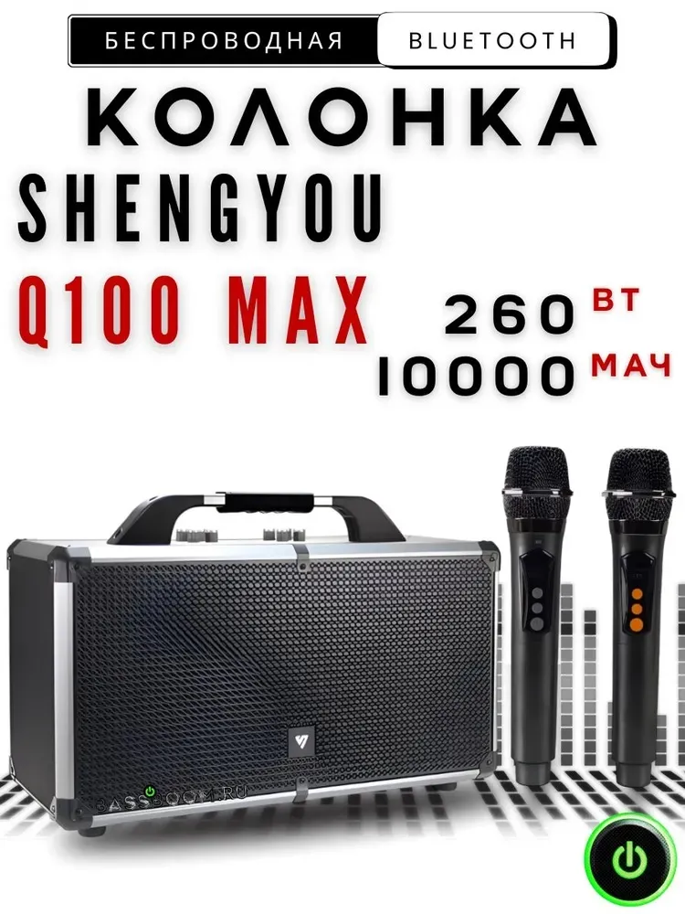 Bluetooth колонка Shengyou Q100 MAX с 2 микрофонами
