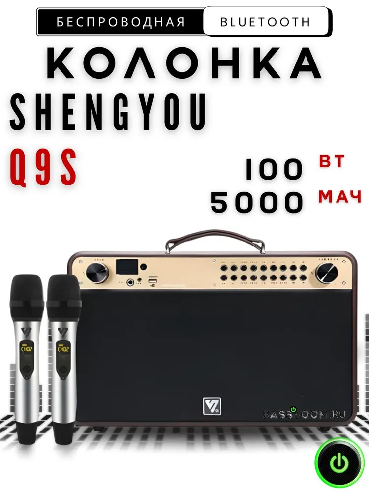 Bluetooth колонка Shengyou Q9 PLUS с 2 микрофонами